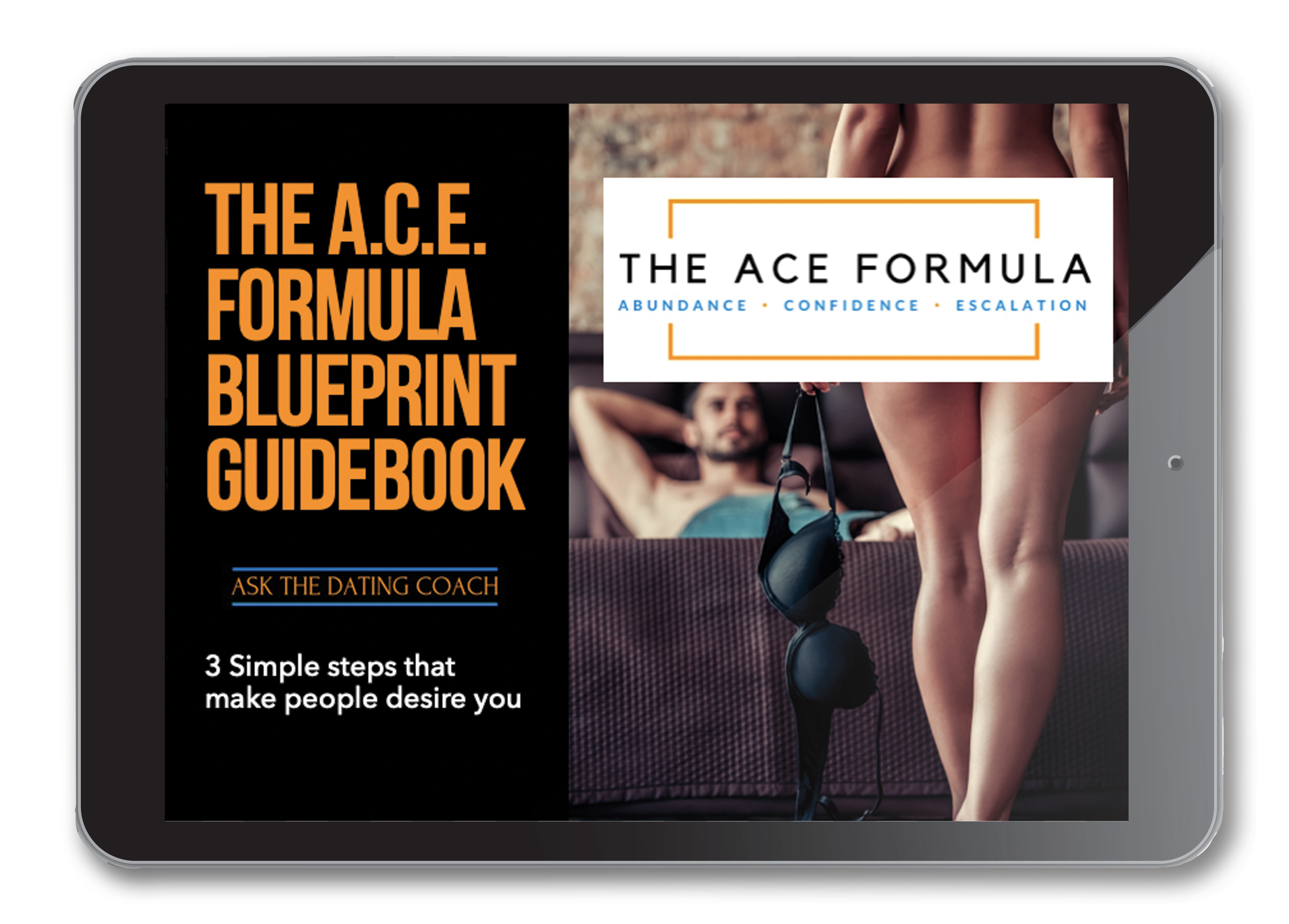 ACEGuideMockUp-2.png